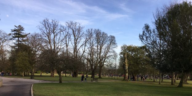 Photo of a park with trees and a blue sky