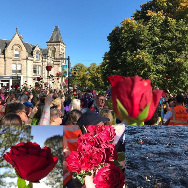 Montage of photos including a photo of a crowd outside Ardross Street and photos of red roses